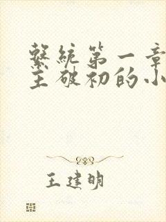 系统第一章给宿主破初的小说