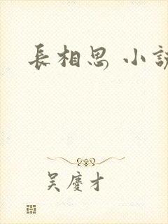长相思 小说