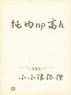 纯肉np高h