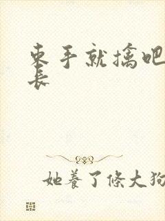 束手就擒吧韩队长