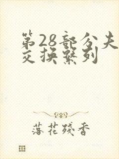 第28部分夫妇交换系列