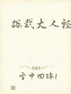 总裁大人轻一点