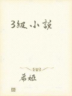 3级小说