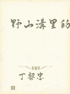 野山沟里的村庄