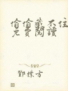 偷偷藏不住小说免费阅读