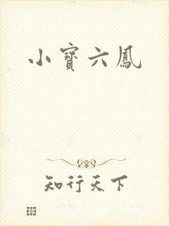 小宝六凤