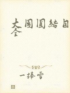 大团圆结目录大全