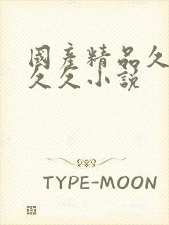 国产精品久久久久久小说