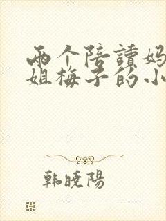 两个陪读妈妈赵姐梅子的小说