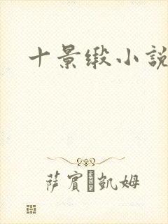 十景缎小说
