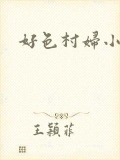 好色村妇小银贼