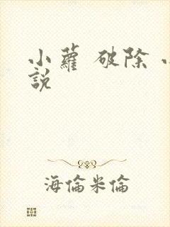 小萝 破除 小说