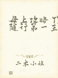 母上攻略 竹影随行第一主板