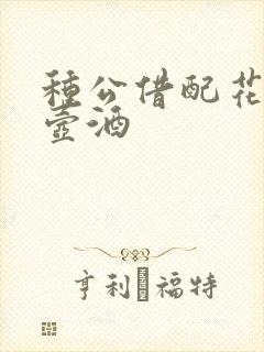 种公借配花间一壶酒