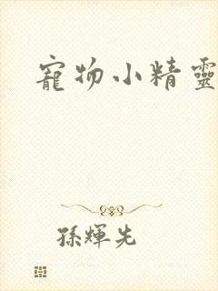 宠物小精灵漫画