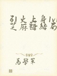 引火上身1v1芝麻糖结局