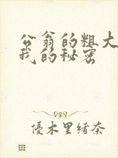 公翁的粗大放进我的秘密