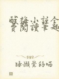 酸梅小说全文免费阅读笔趣阁