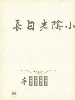 长日光阴小说