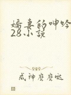 娇妻的呻吟1—28小说