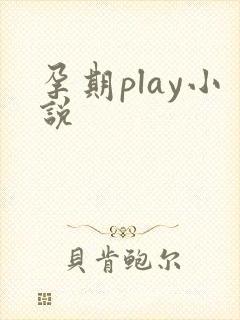 孕期play小说