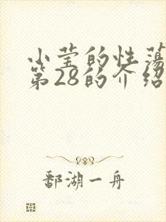 小莹的性荡生活第28的介绍