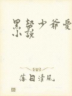 黑帮少爷爱上我小说