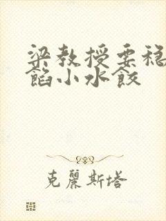 梁教授要稳住肉馅小水饺