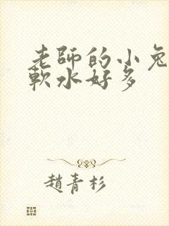 老师的小兔子好软水好多
