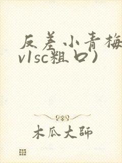 反差小青梅(1v1sc粗口)