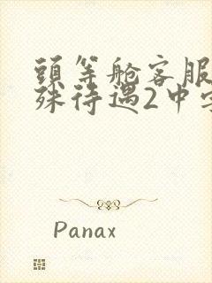 头等舱客服的特殊待遇2中字