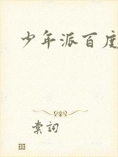 少年派百度百科