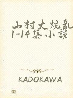 山村大炕乱肉续1-14集小说