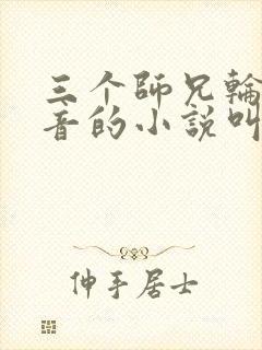 三个师兄轮流上音的小说叫什么