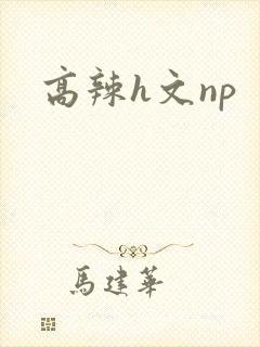高辣h文np