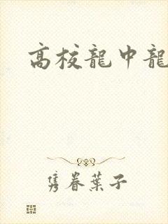 高校龙中龙