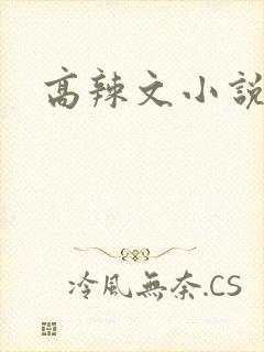 高辣文小说