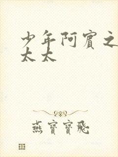 少年阿宾之房东太太