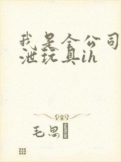 我是全公司的发泄玩具ih