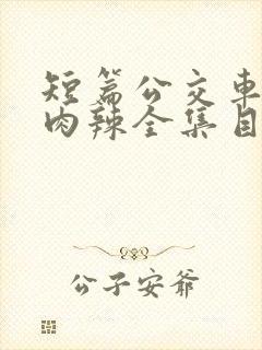 短篇公交车高h肉辣全集目录