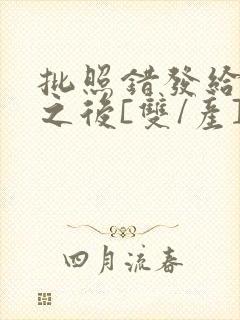 批照错发给情敌之后[双/产]