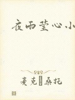 夜雨莹心小说
