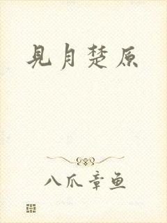 见月楚原