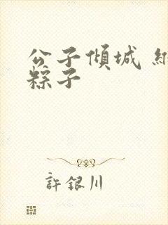 公子倾城 维和粽子