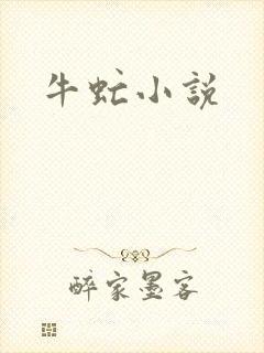 牛虻小说