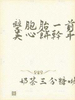 双胞胎一前一后夹心饼干年下