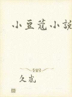 小豆蔻小说