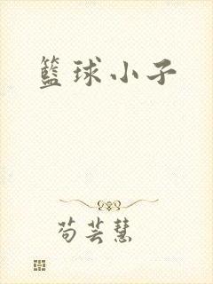 篮球小子
