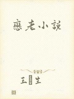 恋老小说