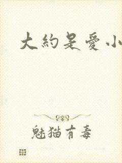 大约是爱小说